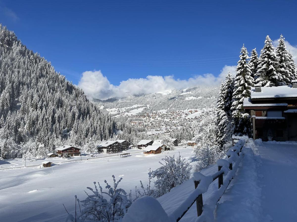 Appartement T3 Chatel Luaran gambar